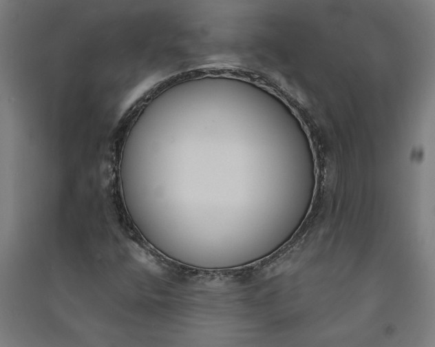 X0000091071400200708201359