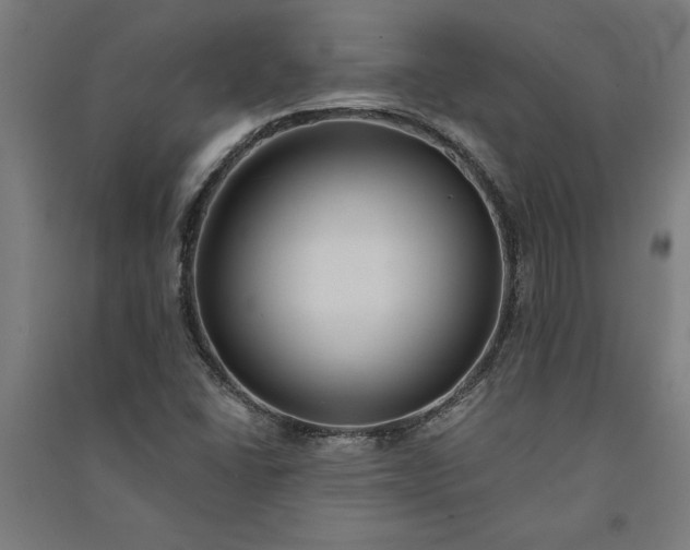 X0000091071406200708201359