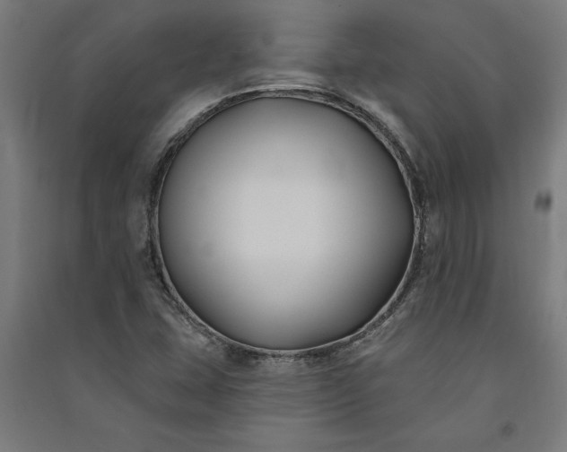 X0000091071407200708201359