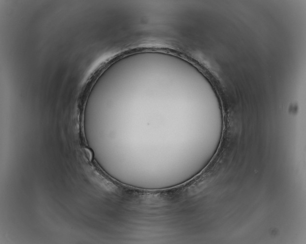 X0000091071408200708201359