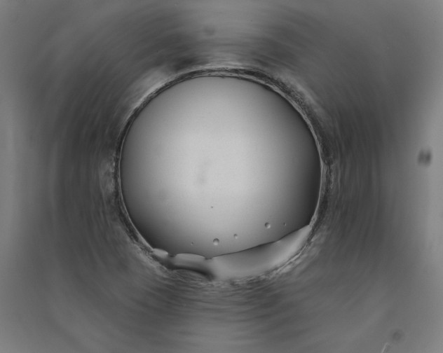 X0000091071409200708201359