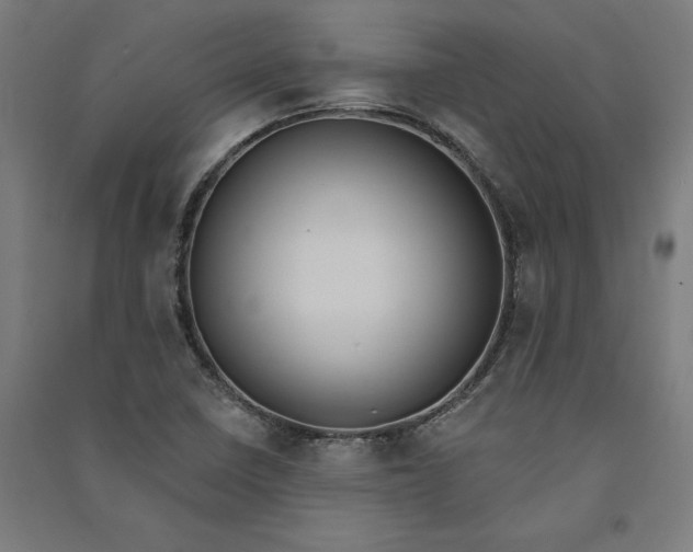 X0000091071410200708201359