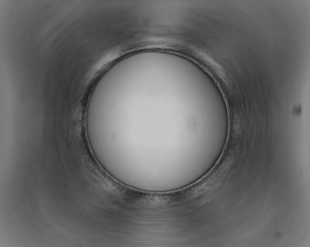 X0000091071411200708201359