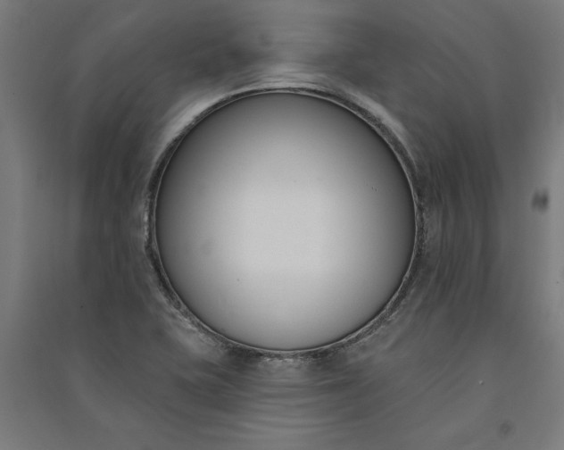 X0000091071415200708201359