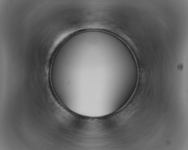 X0000091071416200708201359