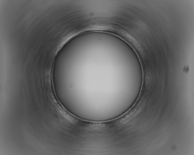 X0000091071417200708201359