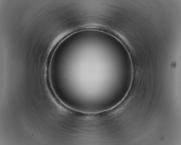 X0000091071418200708201359