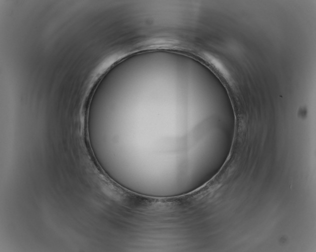 X0000091071419200708201359