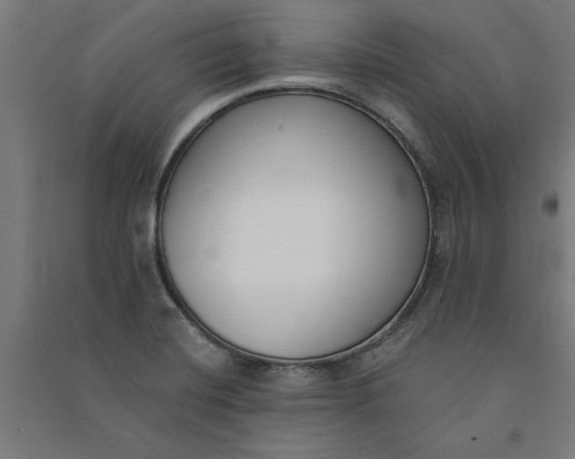 X0000091071420200708201359