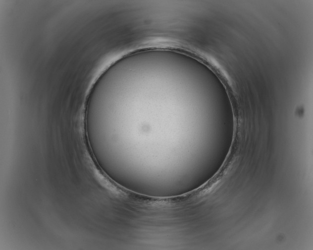 X0000091071421200708201359