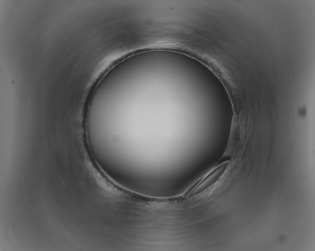 X0000091071422200708201359