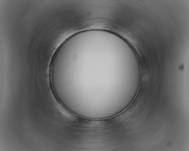 X0000091071423200708201359