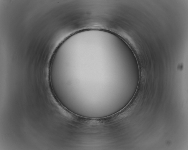 X0000091071424200708201359