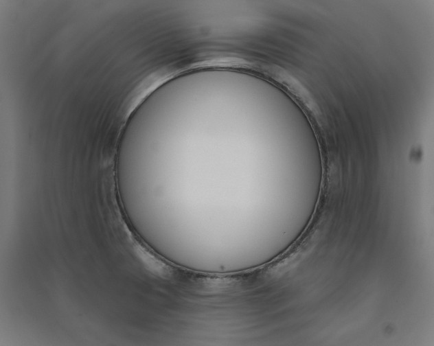 X0000091071425200708201359