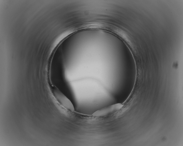 X0000091071426200708201359