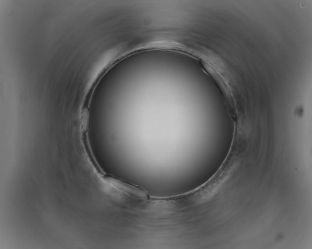 X0000091071430200708201359