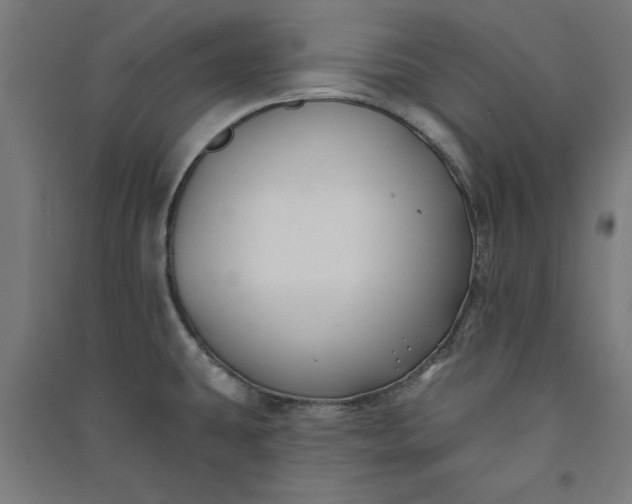 X0000091071431200708201359