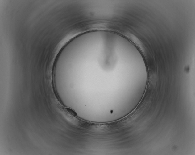 X0000091071435200708201359