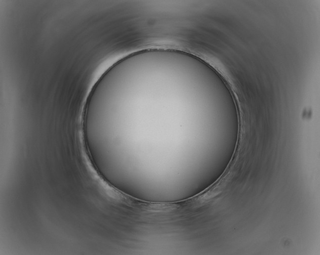 X0000091071440200708201359