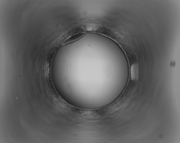 X0000091071443200708201358