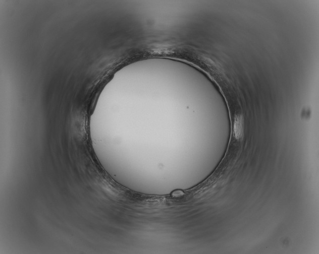 X0000091071444200708201358