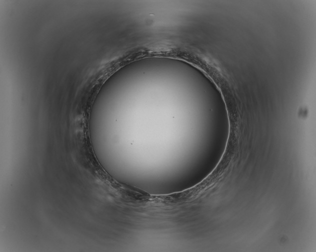X0000091071445200708201358