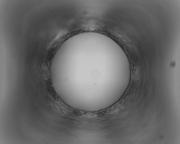 X0000091071446200708201358