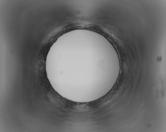 X0000091071447200708201358
