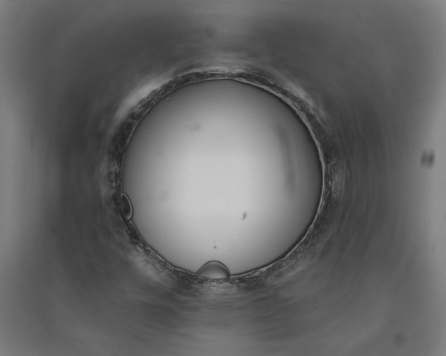 X0000091071448200708201358