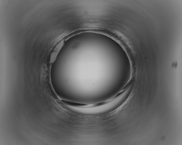 X0000091071449200708201358