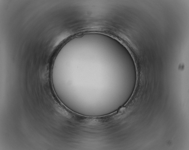 X0000091071450200708201358