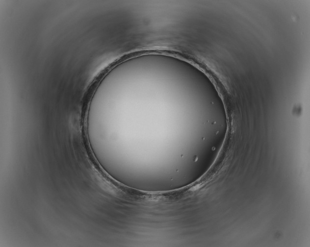 X0000091071452200708201358