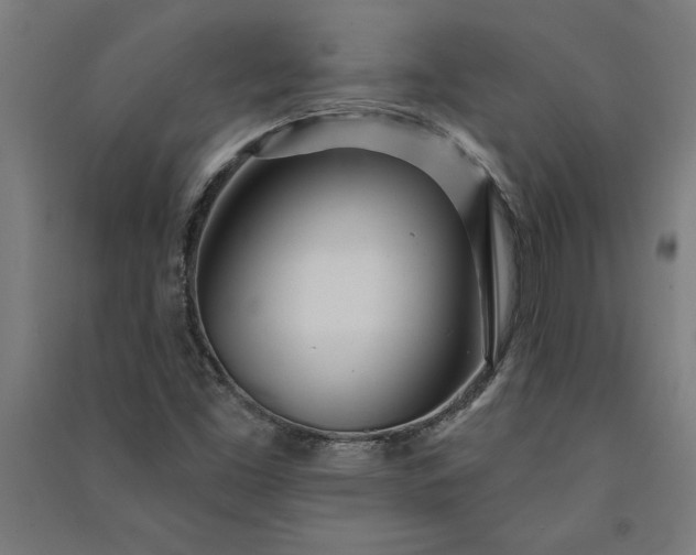 X0000091071453200708201358