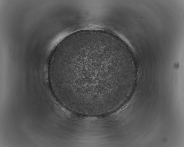 X0000091071455200708201358