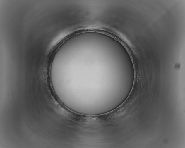X0000091071456200708201358