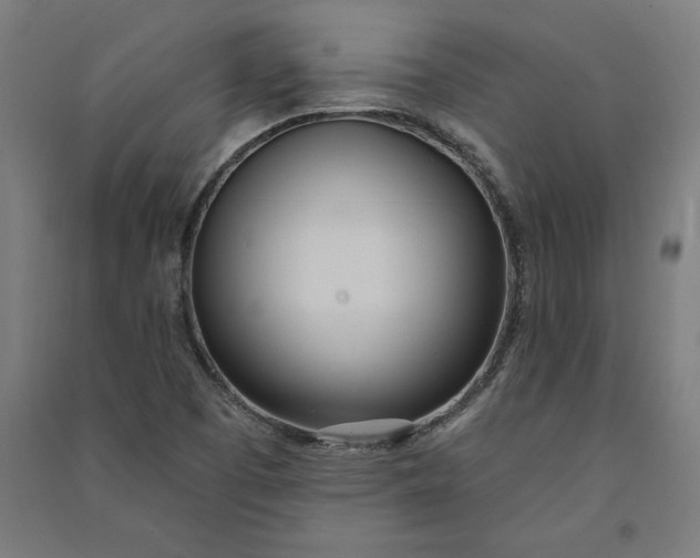 X0000091071457200708201358