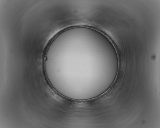 X0000091071460200708201358