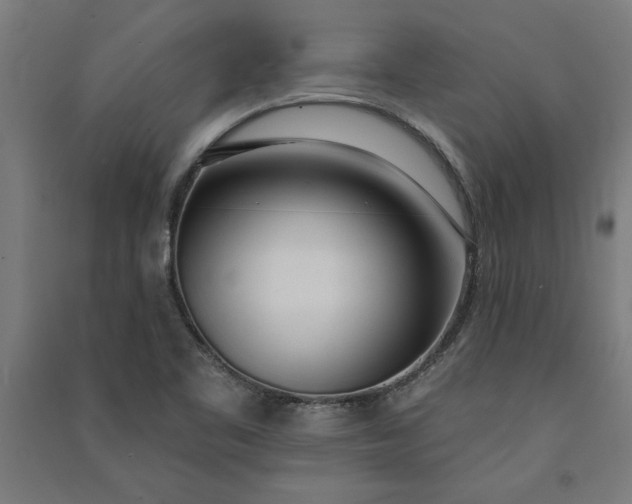 X0000091071461200708201358