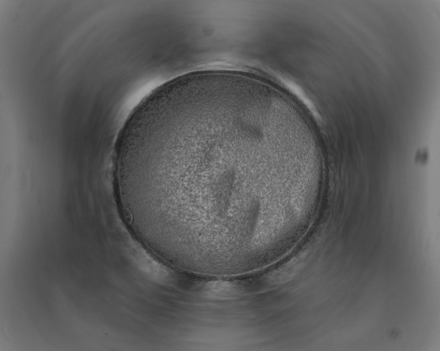 X0000091071463200708201358