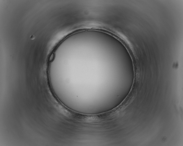 X0000091071464200708201358