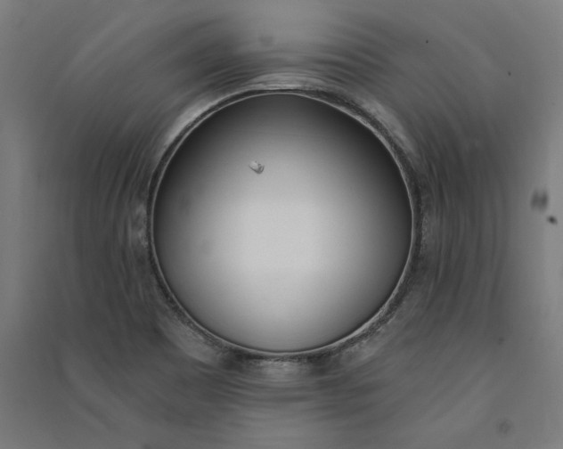 X0000091071465200708201358