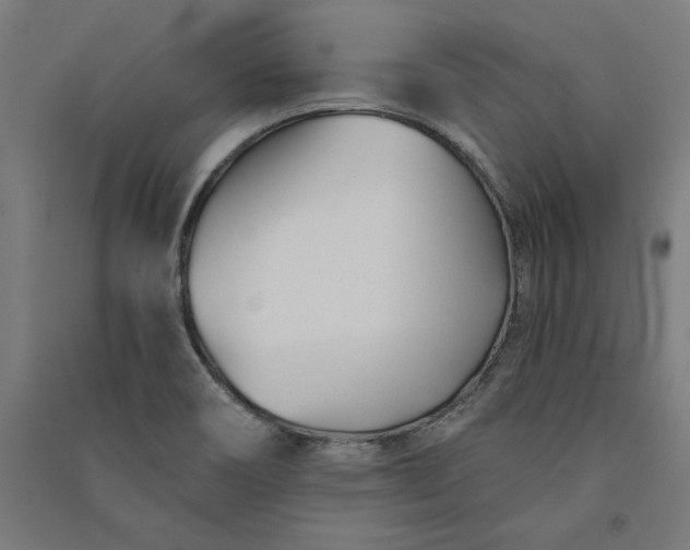 X0000091071466200708201358