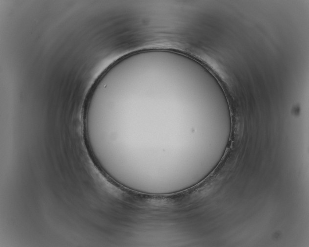 X0000091071468200708201358