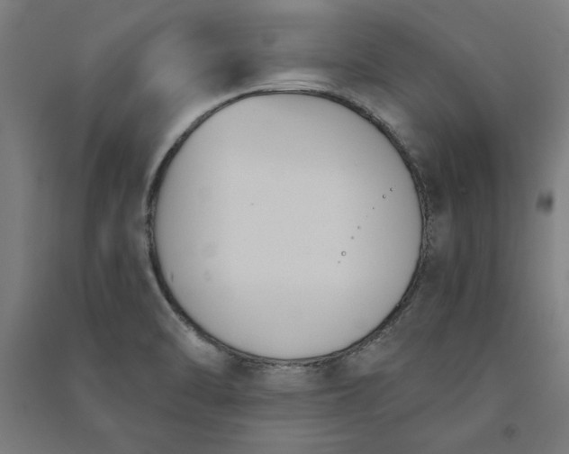 X0000091071470200708201358