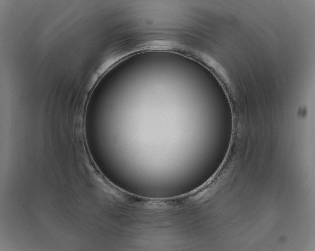 X0000091071473200708201358
