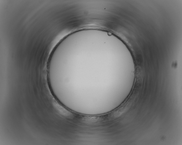 X0000091071474200708201358