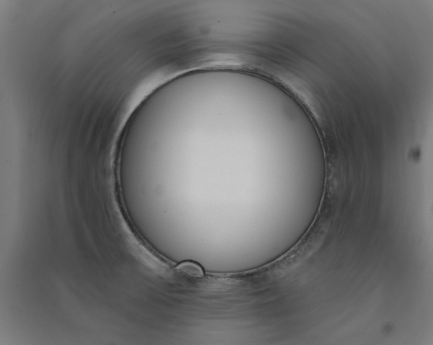 X0000091071475200708201358