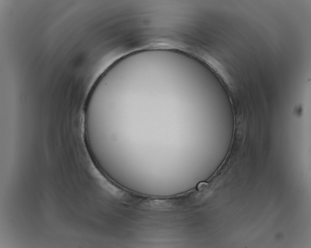 X0000091071476200708201358