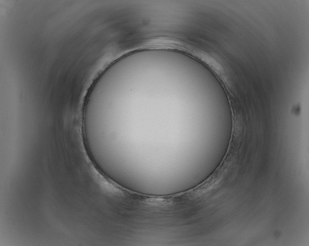 X0000091071478200708201358