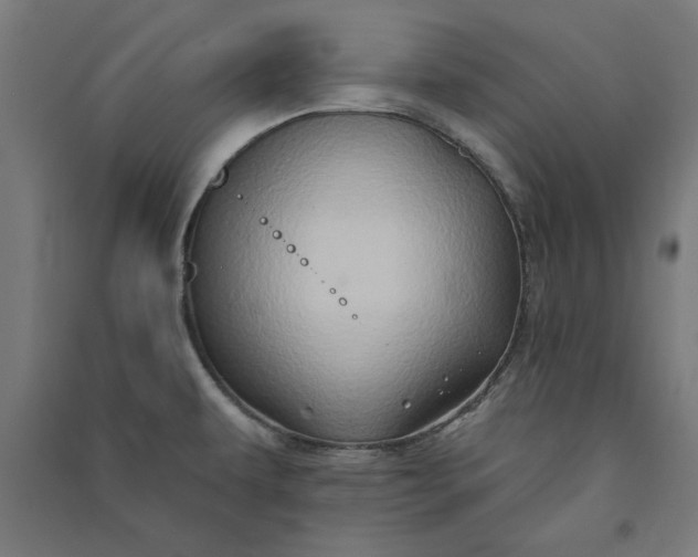 X0000091071479200708201358